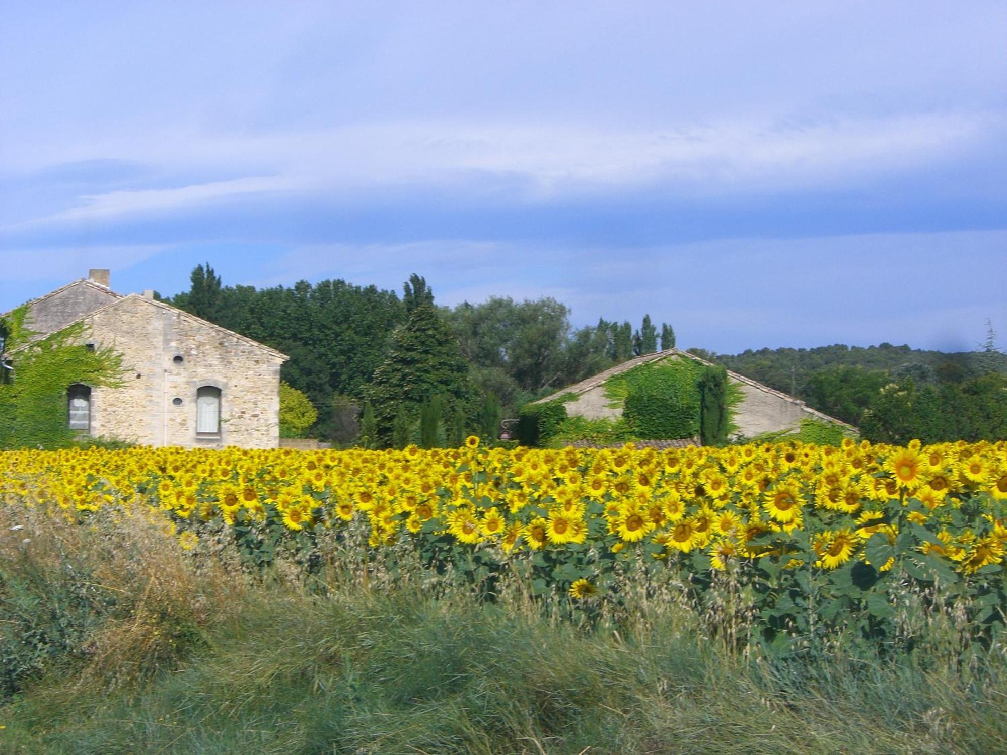 Chambre D Hotes A 4 Kms D Uzes " Chez Nadou " Arpaillargues-et-Aureillac Exteriér fotografie